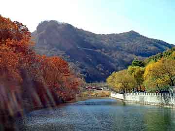 管家婆黑白马报图库，自助中餐加盟